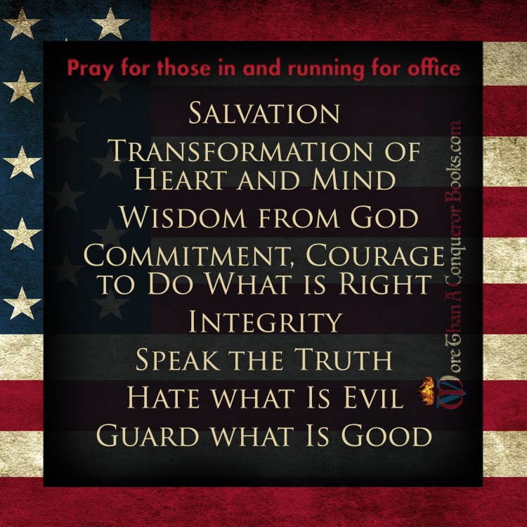 November 4 Elections