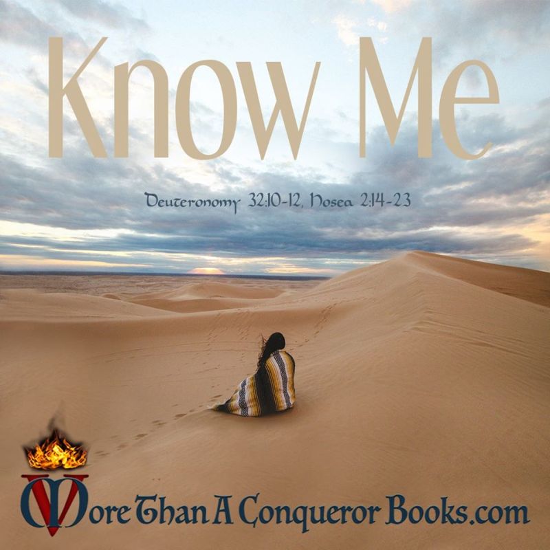 Finding Joy in Your Spiritual&nbsp;Desert