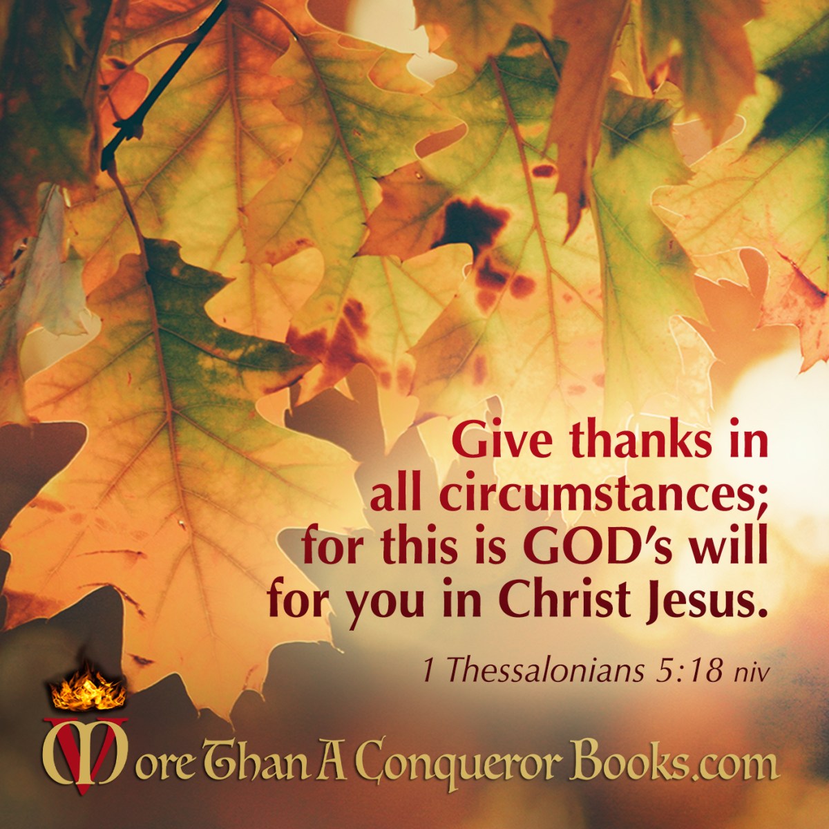 Thankful for This&nbsp;Trial